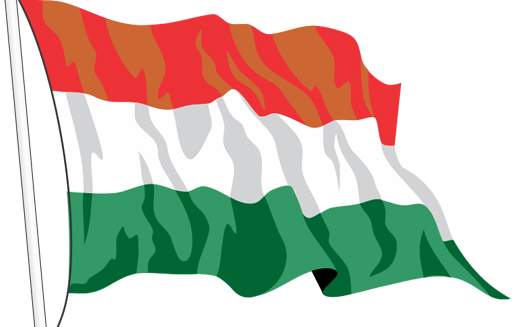 Pakistan Awami Tehreek’s intra-party elections to be held on November 10