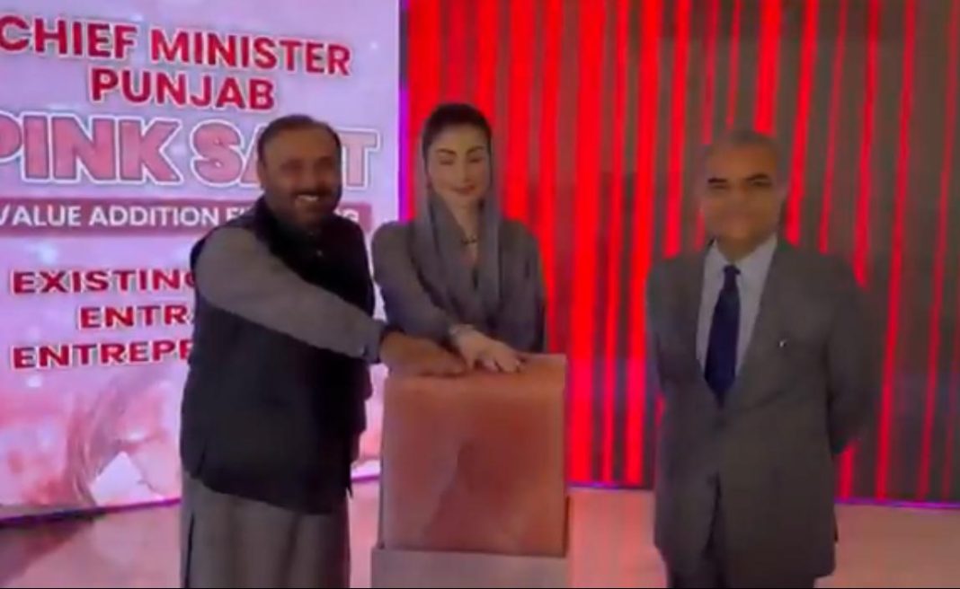 Punjab Launches Pink Salt Financing Scheme, Announces 110-Acre Processing Zone
